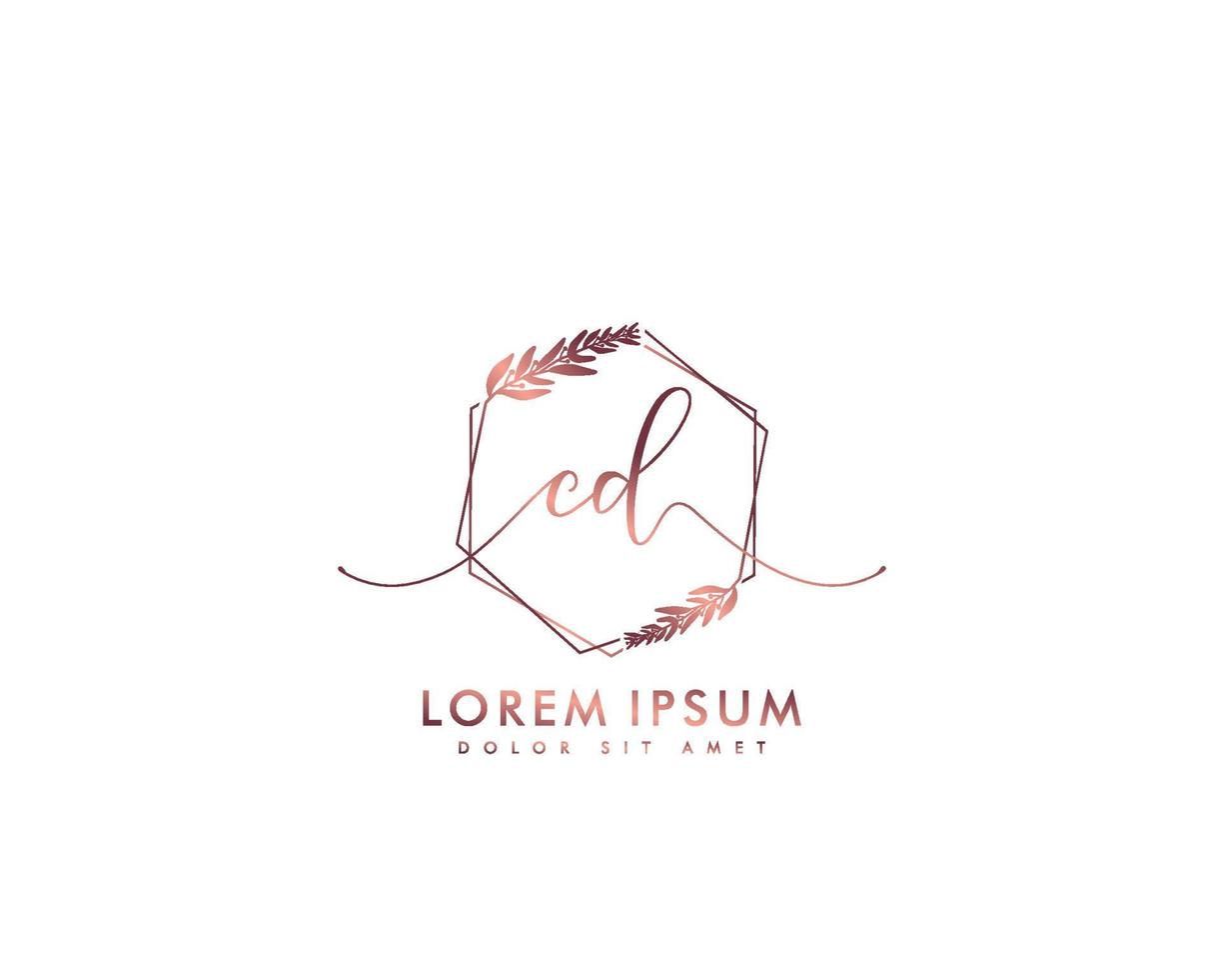 första CD feminin logotyp skönhet monogram och elegant logotyp design, handstil logotyp av första signatur, bröllop, mode, blommig och botanisk med kreativ mall vektor