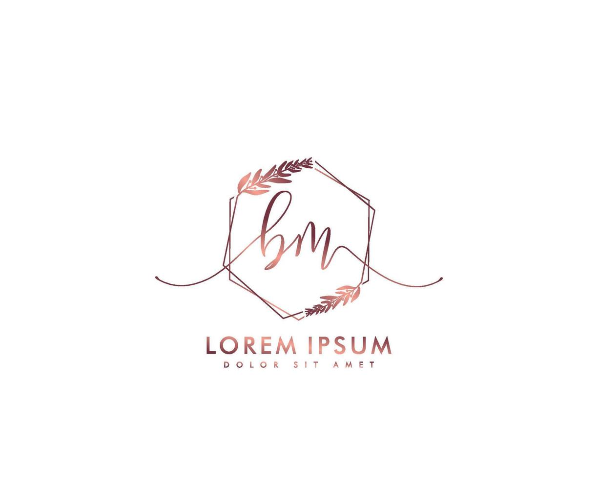 första bm feminin logotyp skönhet monogram och elegant logotyp design, handstil logotyp av första signatur, bröllop, mode, blommig och botanisk med kreativ mall vektor