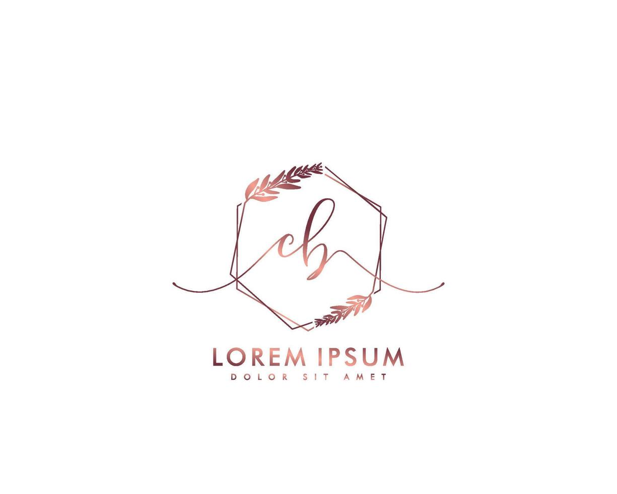 ursprüngliches cb feminines logo schönheitsmonogramm und elegantes logodesign, handschriftlogo der ersten unterschrift, hochzeit, mode, blumen und botanik mit kreativer vorlage vektor