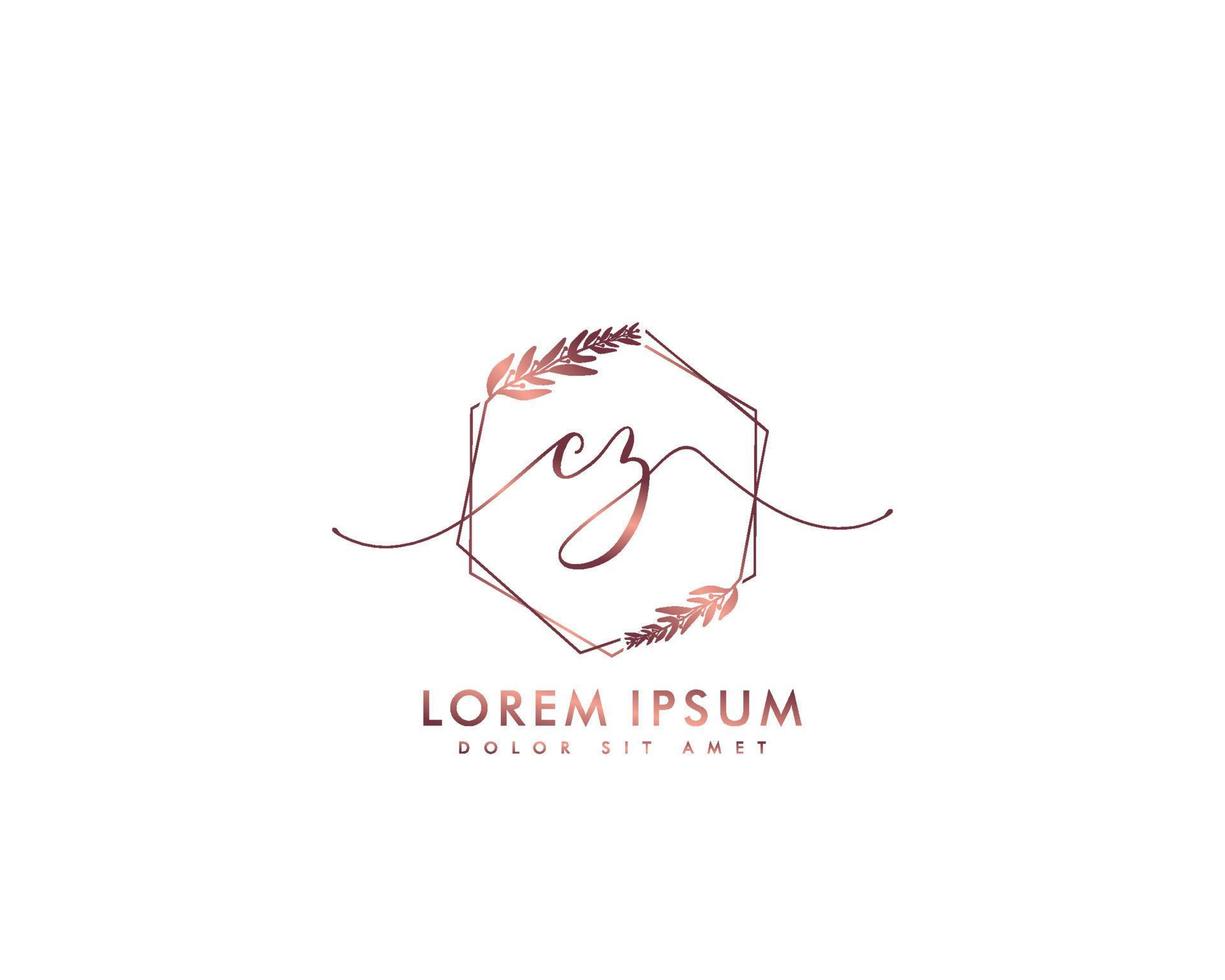 initiales cz feminines logo schönheitsmonogramm und elegantes logodesign, handschriftlogo der ersten unterschrift, hochzeit, mode, floral und botanisch mit kreativer vorlage vektor