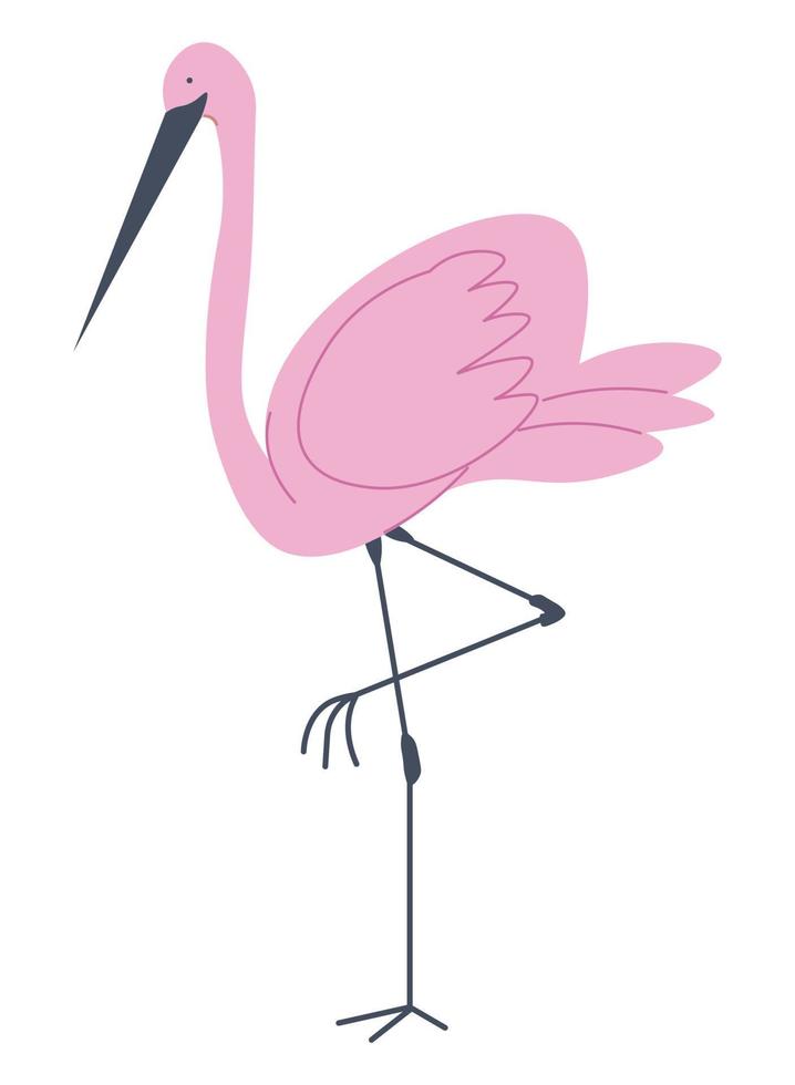 flamingo lång fågel med rosa fjäderdräkt porträtt vektor