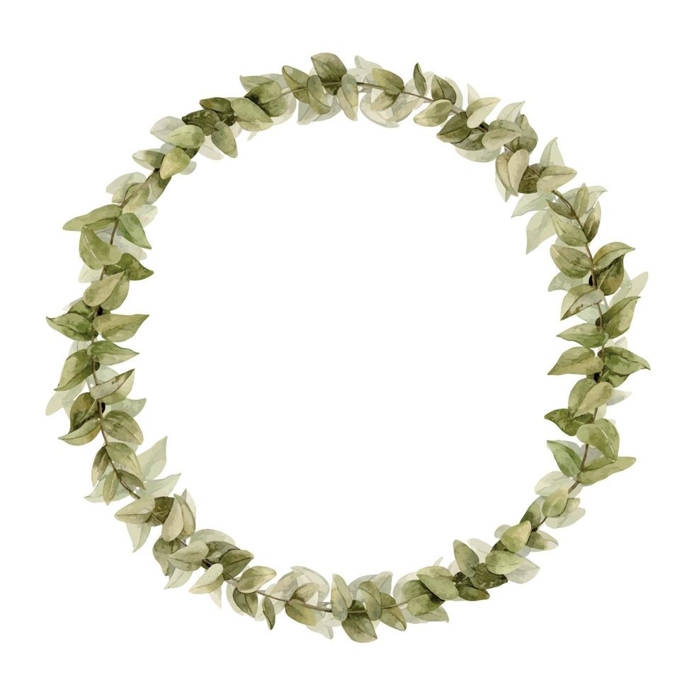 vattenfärg eukalyptus krans med grön löv. hand dragen illustration av botanisk runda ram för bröllop inbjudningar eller hälsning kort. teckning av ört- årgång gräns på isolerat bakgrund vektor