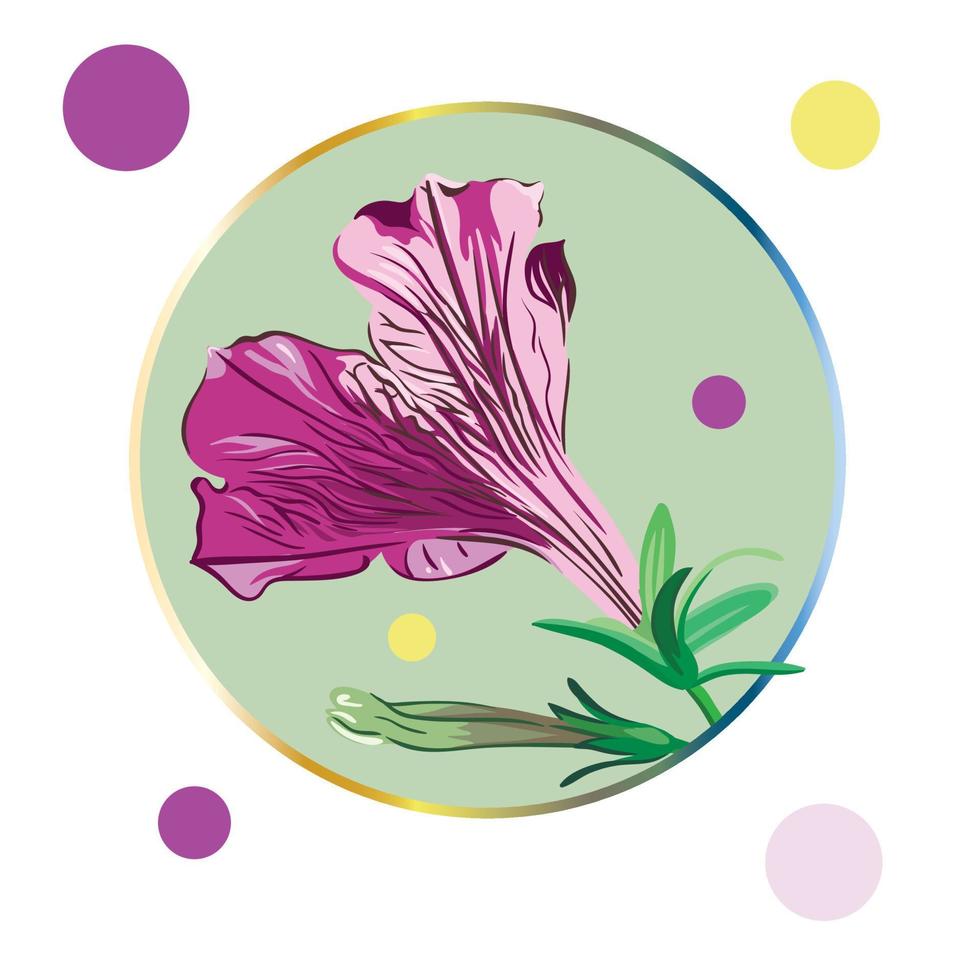 Lila Petunienblume, eingerahmt in einem grünen Kreis auf weißem Hintergrund mit bunten Tupfen. grüne Blätter, Knospen, lila und rosa Blüten. realistische vektorillustration. Jahrgang. vektor