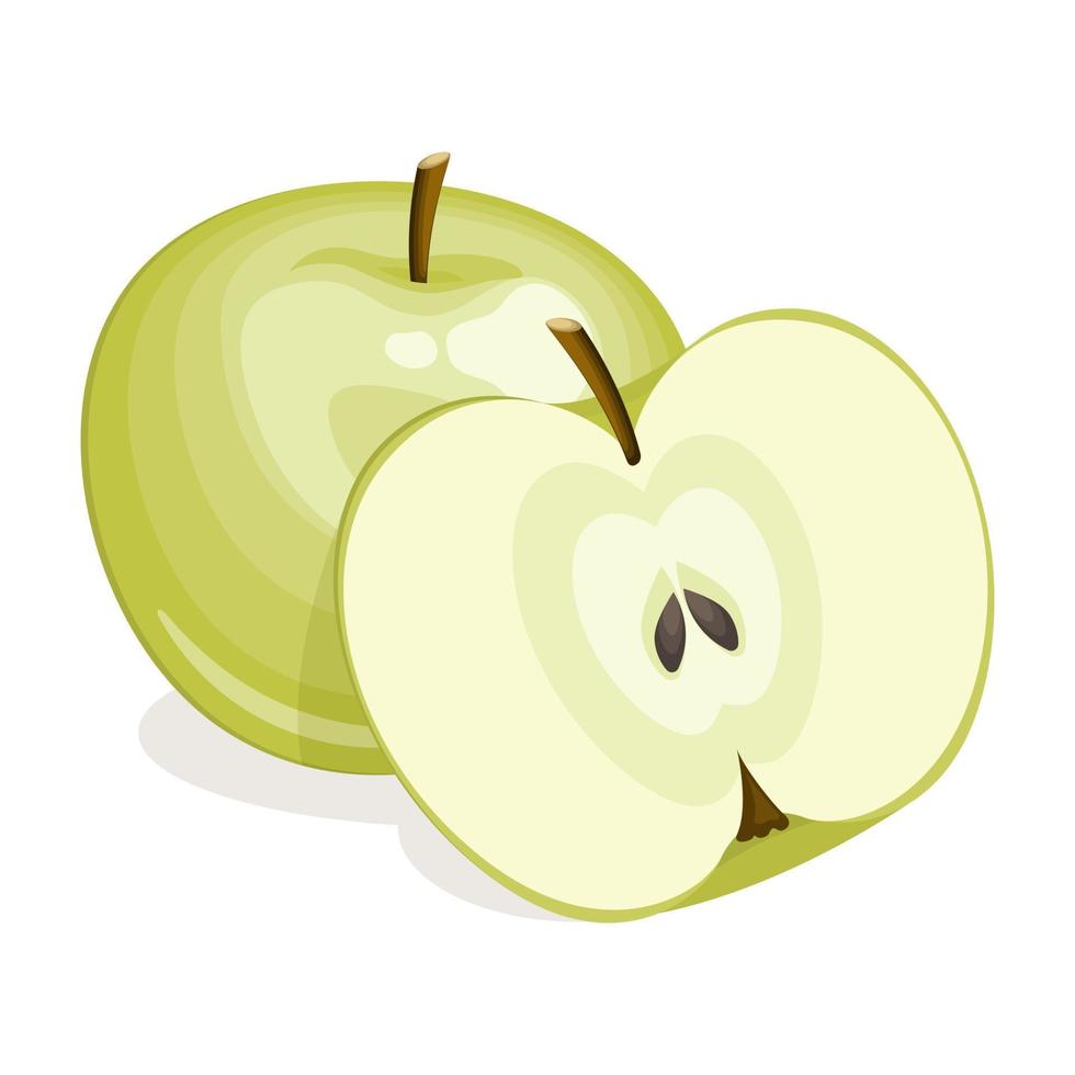 grüner Apfel lokalisiert auf weißem Hintergrund vektor