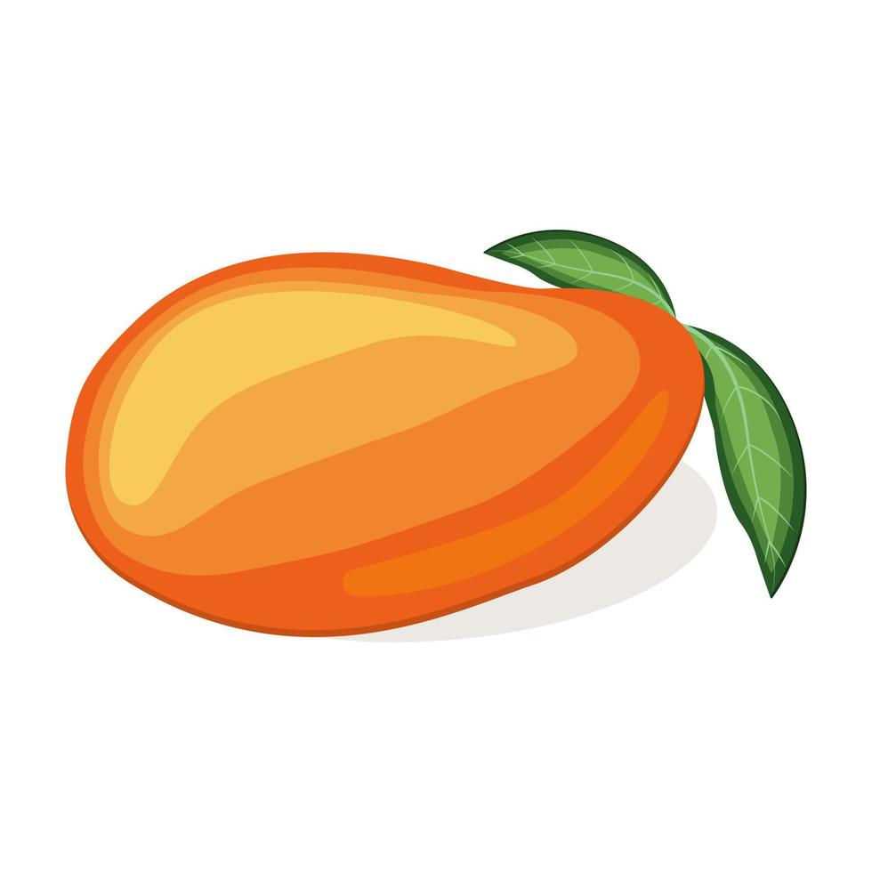 saftige frische Mango isoliert auf weißem Hintergrund vektor