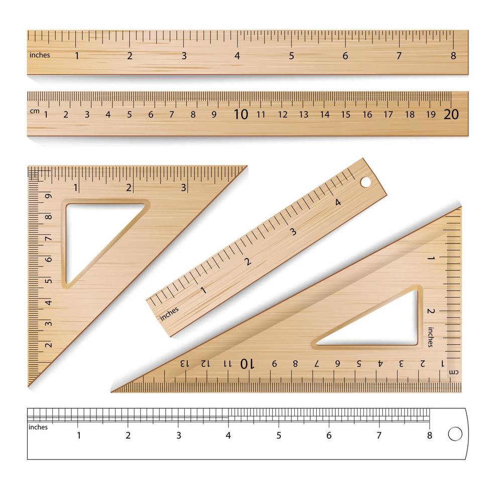 trä- linjaler uppsättning vektor. metrisk kejserlig. centimeter, tum. klassisk utbildning mäta verktyg Utrustning illustration isolerat på vit bakgrund. vektor