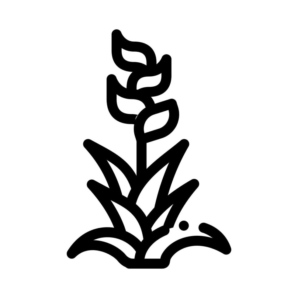 exotisk blomma ikon vektor översikt symbol illustration