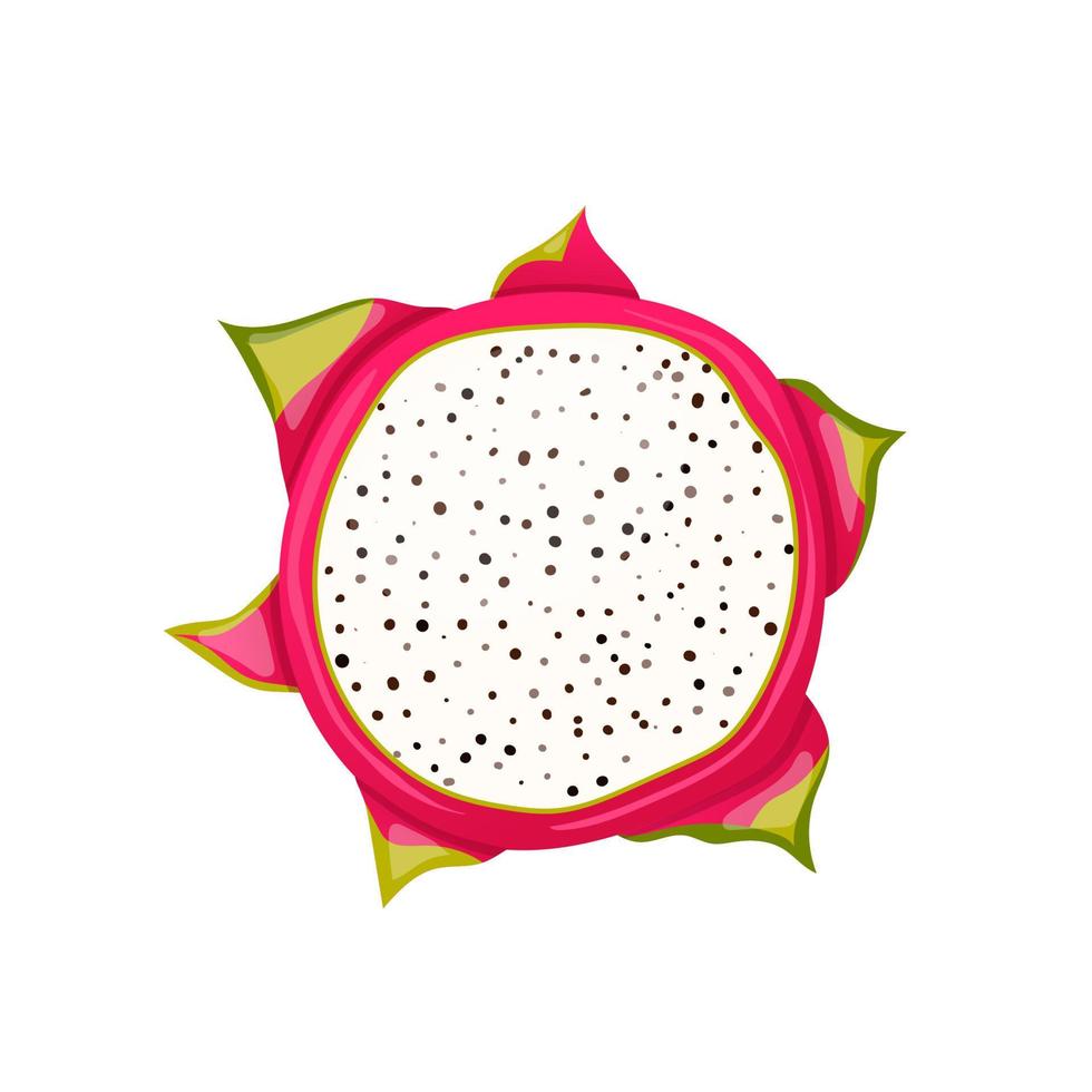 Drachenfrucht geschnitten Cartoon-Vektor-Illustration vektor