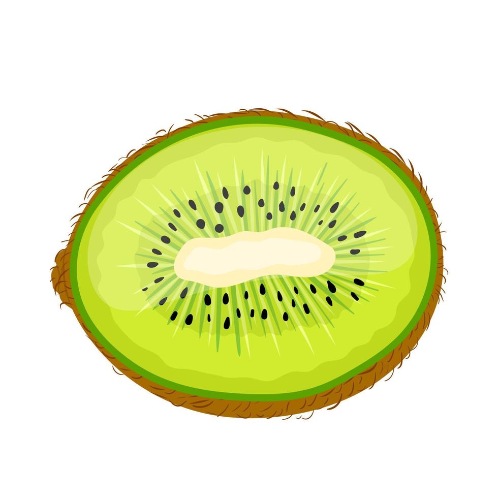 Kiwi grün geschnitten Cartoon-Vektor-Illustration vektor
