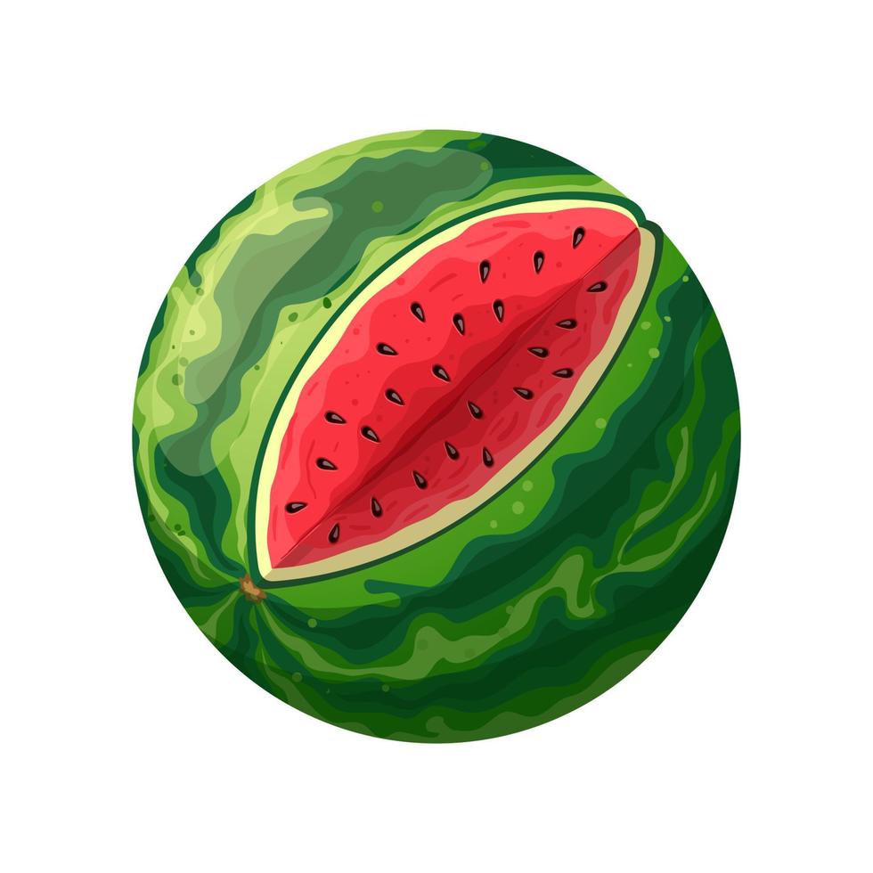 vattenmelon skära tecknad serie vektor illustration