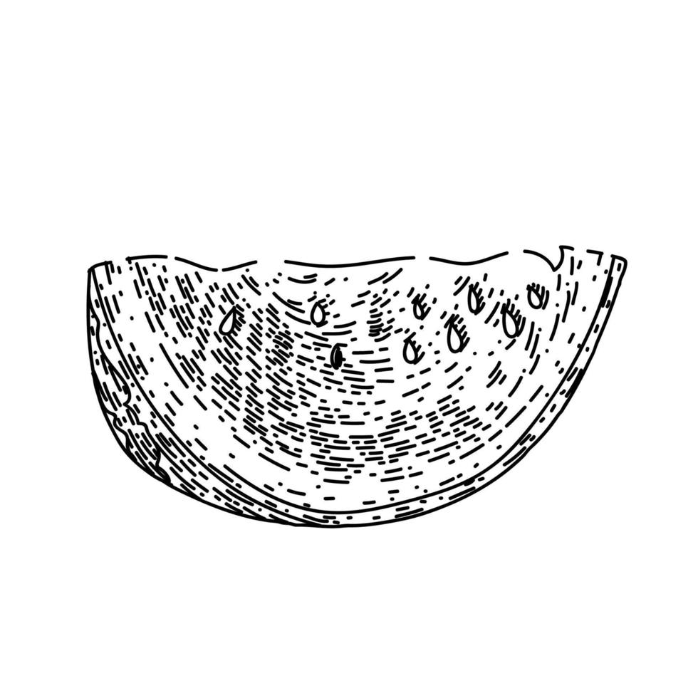 Wassermelonenscheibe Skizze handgezeichneter Vektor