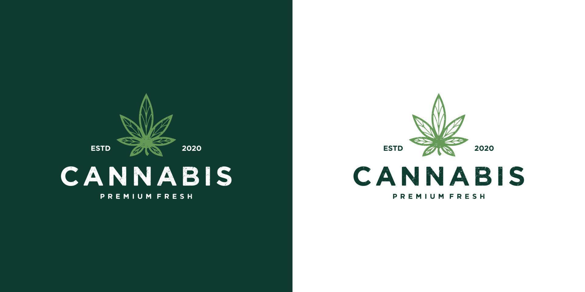 marihuana gesundheit medizinisches cannabis logo entwirft vektor hanf cbd ölextrakt grünes blatt