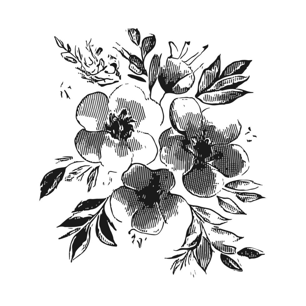 konst samling av naturlig blommig ört- löv blommor i silhuett stil. dekorativ skönhet elegant illustration för hand dragen blommig design vektor