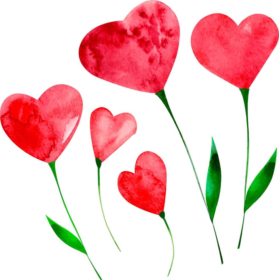 kärlek blomma hjärta målad vattenfärg röd isolerat vektor