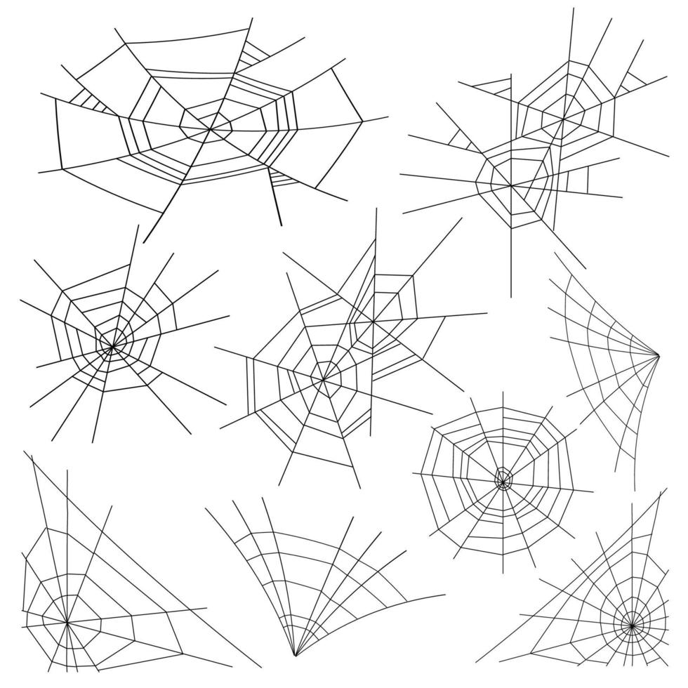 halloween Spindel webb uppsättning vektor. svart Spindel webb isolerat på vit. svartvit hektor gift spindelnät för halloween design vektor