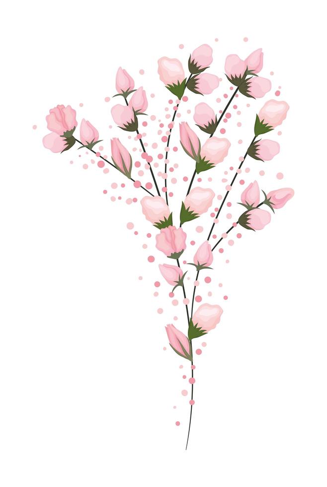 rosa knoppar blommor bukett målning vektor