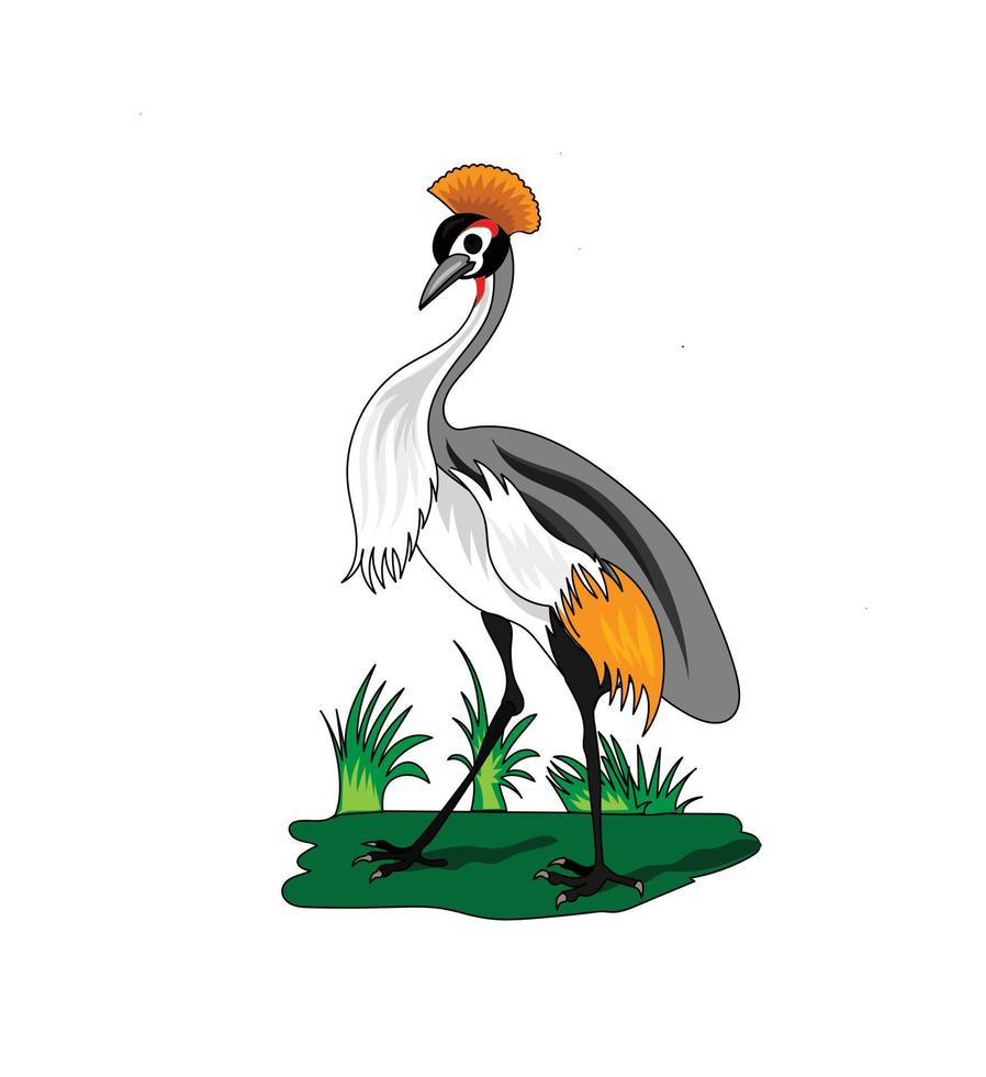 krönt kran fågel vektor illustration med vit bakgrund