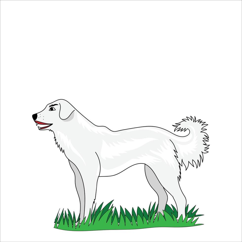 hund vektor illustration