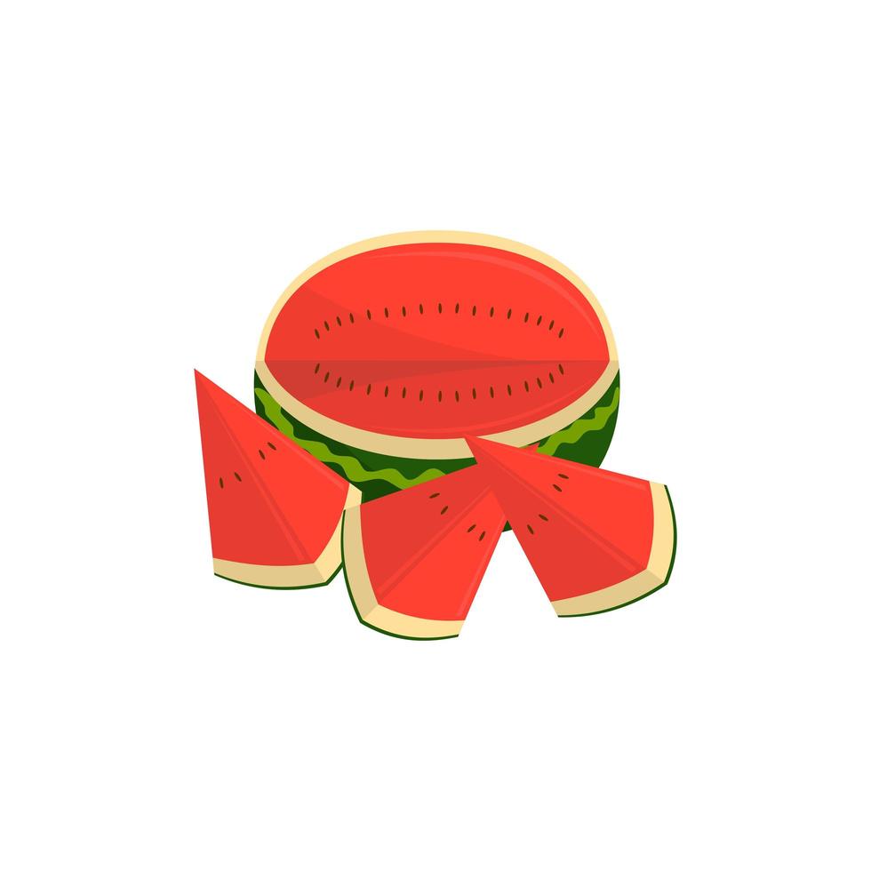 Wassermelonenfrucht und Stückillustration vektor