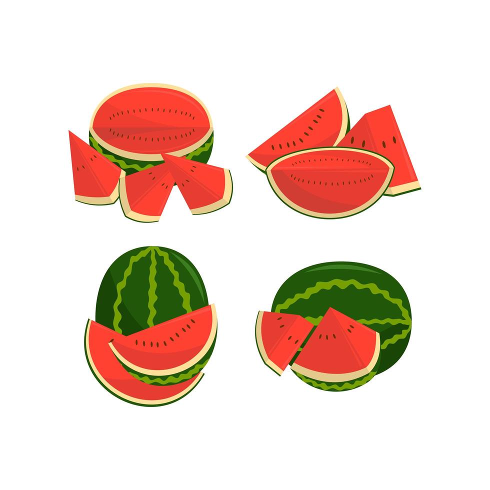 vattenmelon frukt och bitar illustration set vektor