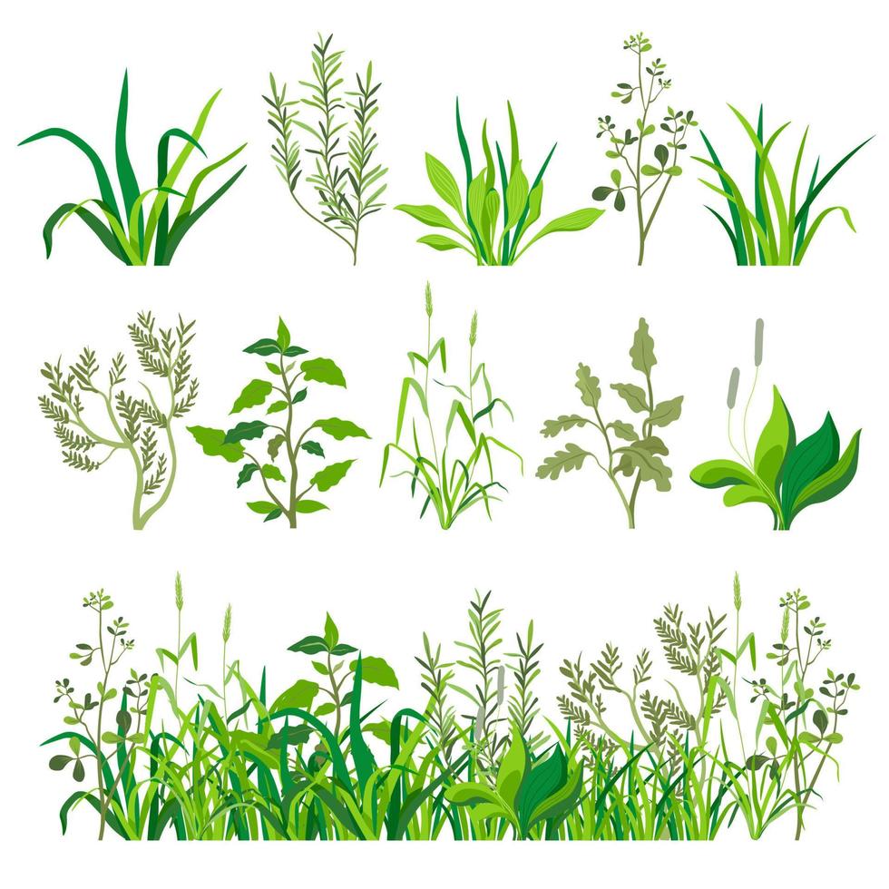 örter och gräs, lövverk och växter landskap vektor
