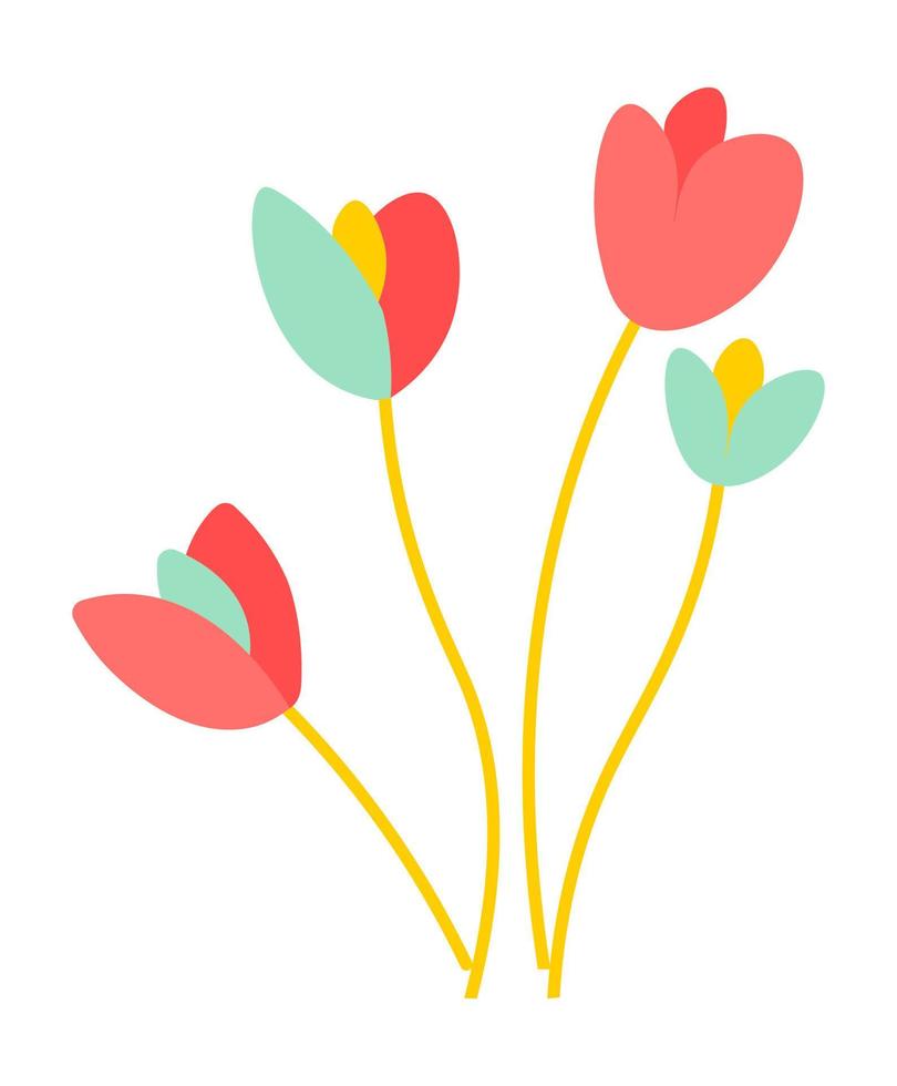 blühende tulpenblumen, natur- und florapflanzen vektor
