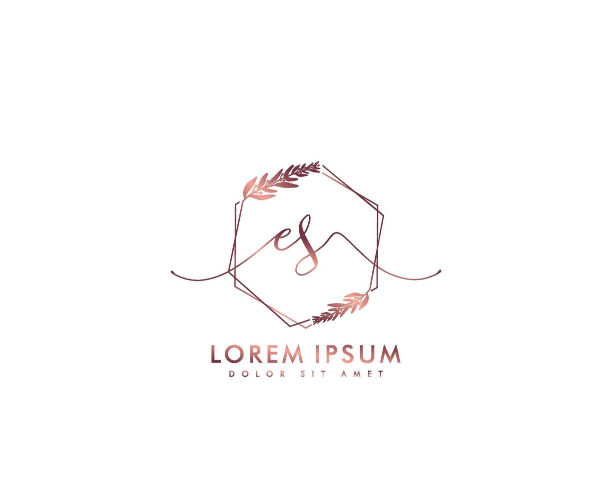 första es feminin logotyp skönhet monogram och elegant logotyp design, handstil logotyp av första signatur, bröllop, mode, blommig och botanisk med kreativ mall vektor