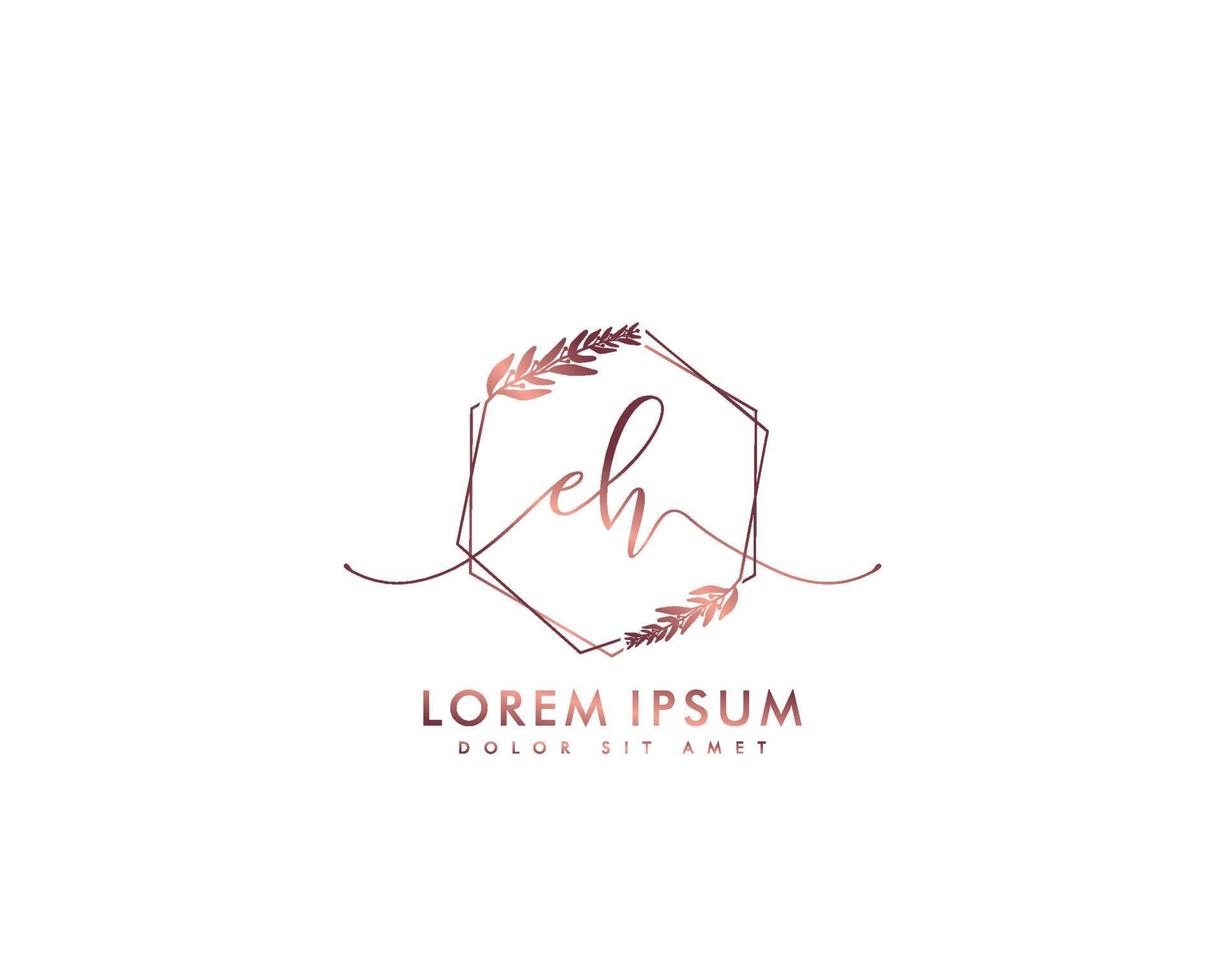 första va feminin logotyp skönhet monogram och elegant logotyp design, handstil logotyp av första signatur, bröllop, mode, blommig och botanisk med kreativ mall vektor