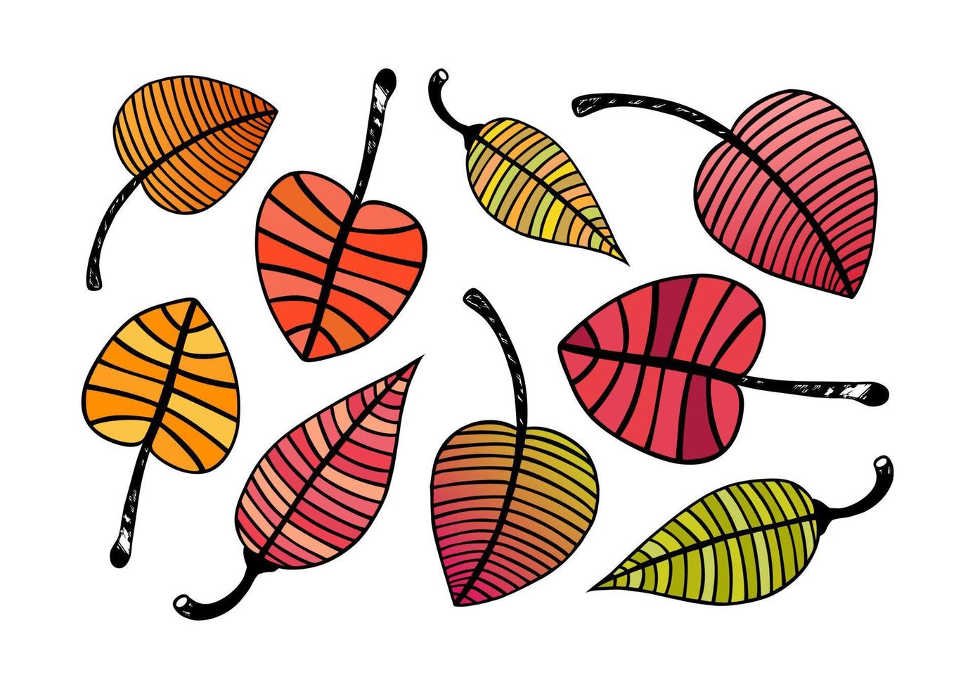 linjär mönster löv med ljus färger. röd, orange, grön, gul, röd, rosa. löv uppsättning, samling. vektor