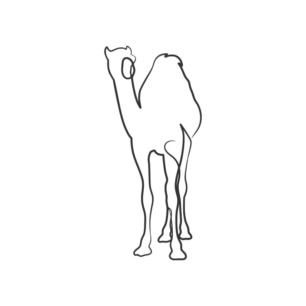 Kamel kontinuierliche einzeilige Kunstzeichnung vektor