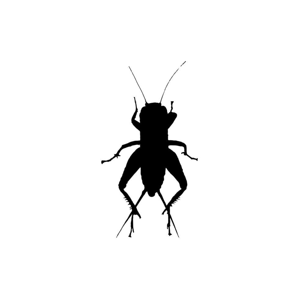 Kricket-Insekten-Symbol. einfache art insekt wissenschaft poster hintergrund symbol. Cricket-Insekten-Markenlogo-Designelement. Kricket-Insekten-T-Shirt-Druck. Vektor für Aufkleber.