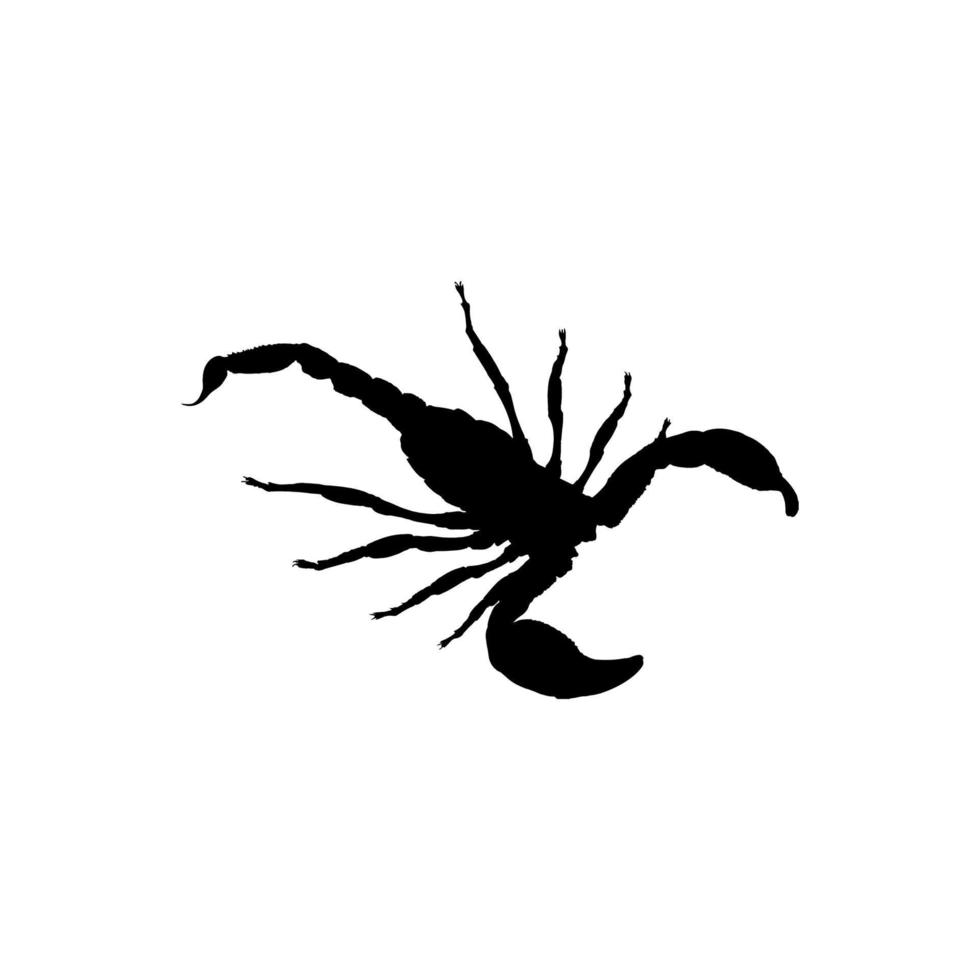 Skorpion-Symbol. Skorpion-Plakat-Hintergrundsymbol im einfachen Stil. Skorpion-Markenlogo-Designelement. Skorpion T-Shirt bedrucken. Vektor für Aufkleber.