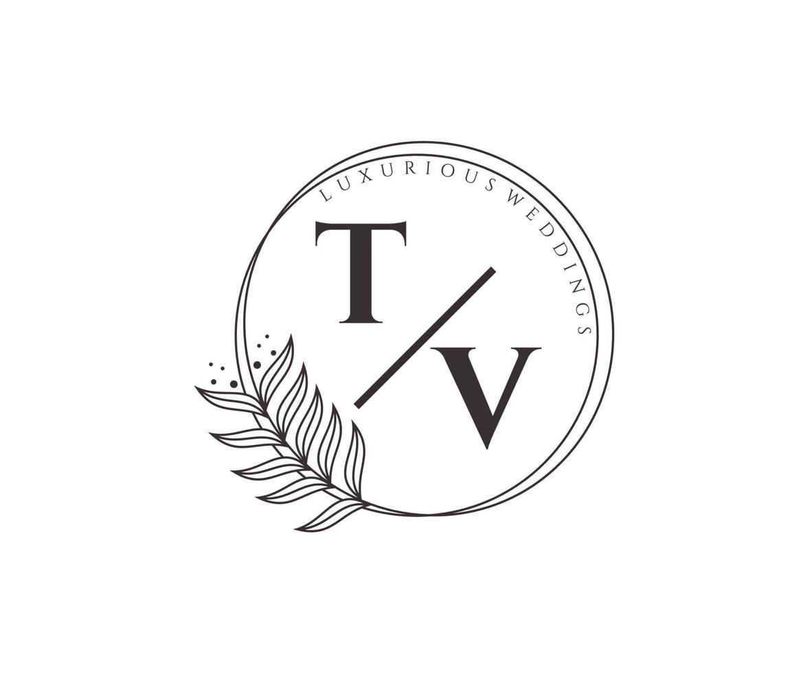 tv initialen brief hochzeit monogramm logos vorlage, handgezeichnete moderne minimalistische und florale vorlagen für einladungskarten, datum speichern, elegante identität. vektor