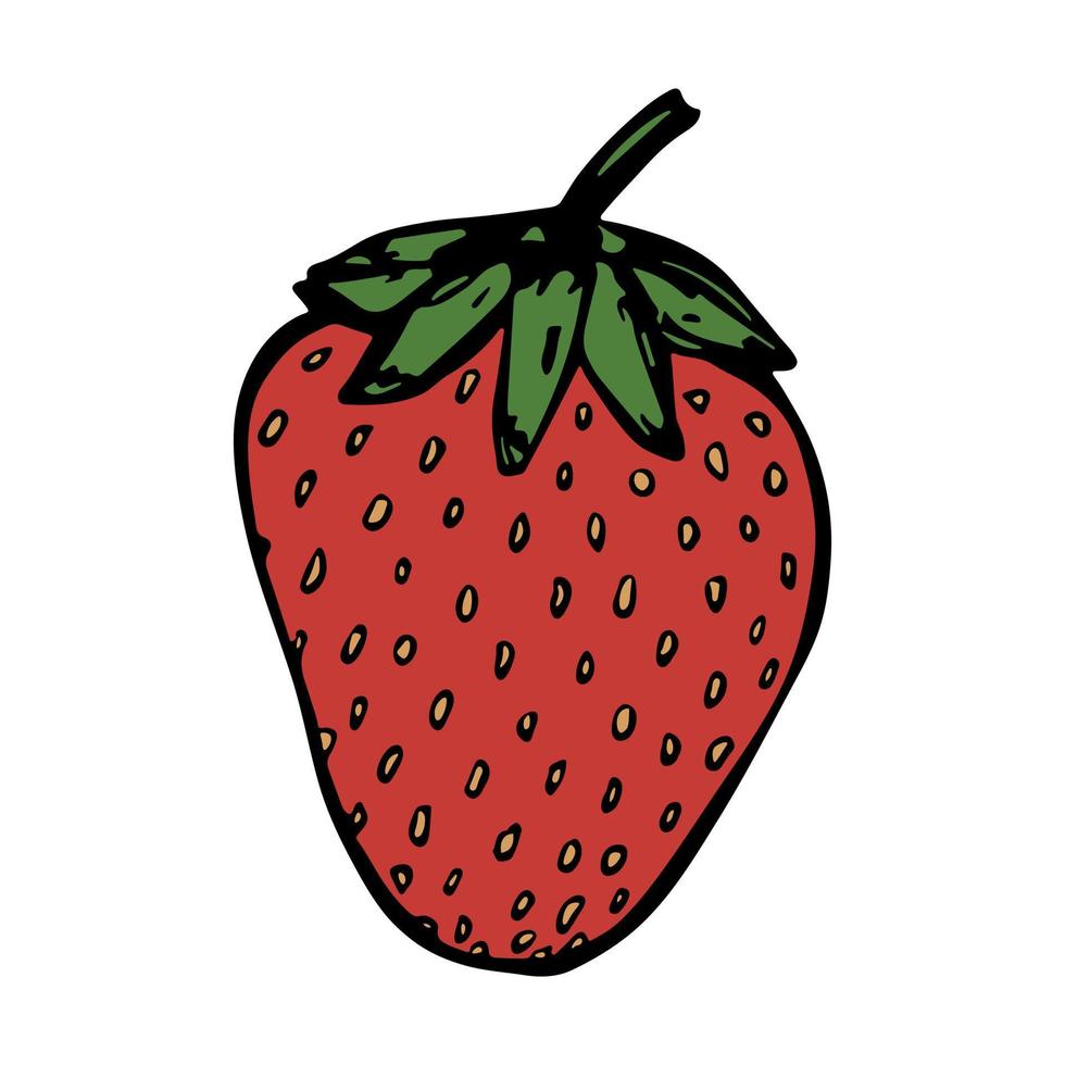 vektor jordgubbe clipart. handritad bärikon. frukt illustration. för tryck, webb, design, inredning
