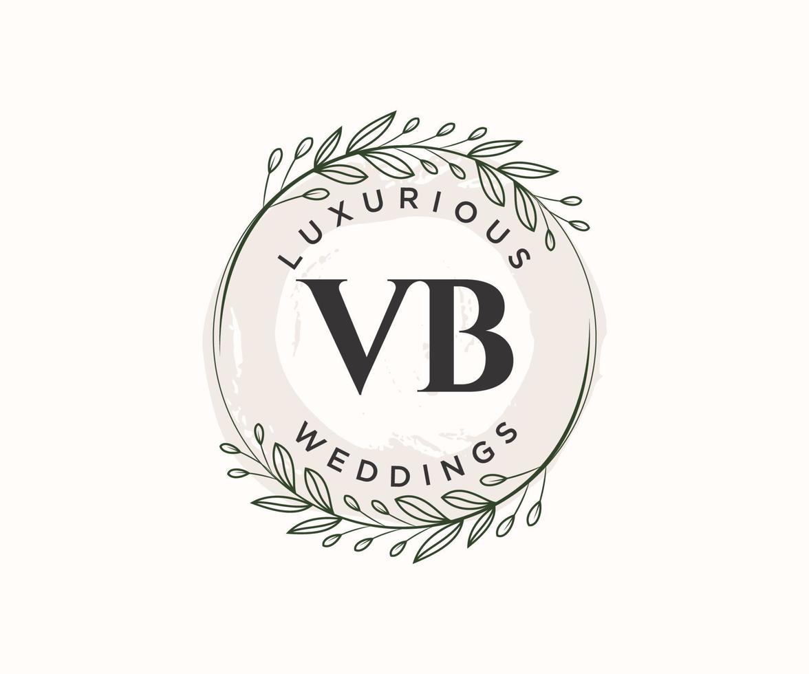 vb initialer brev bröllop monogram logotyper mall, hand dragen modern minimalistisk och blommig mallar för inbjudan kort, spara de datum, elegant identitet. vektor