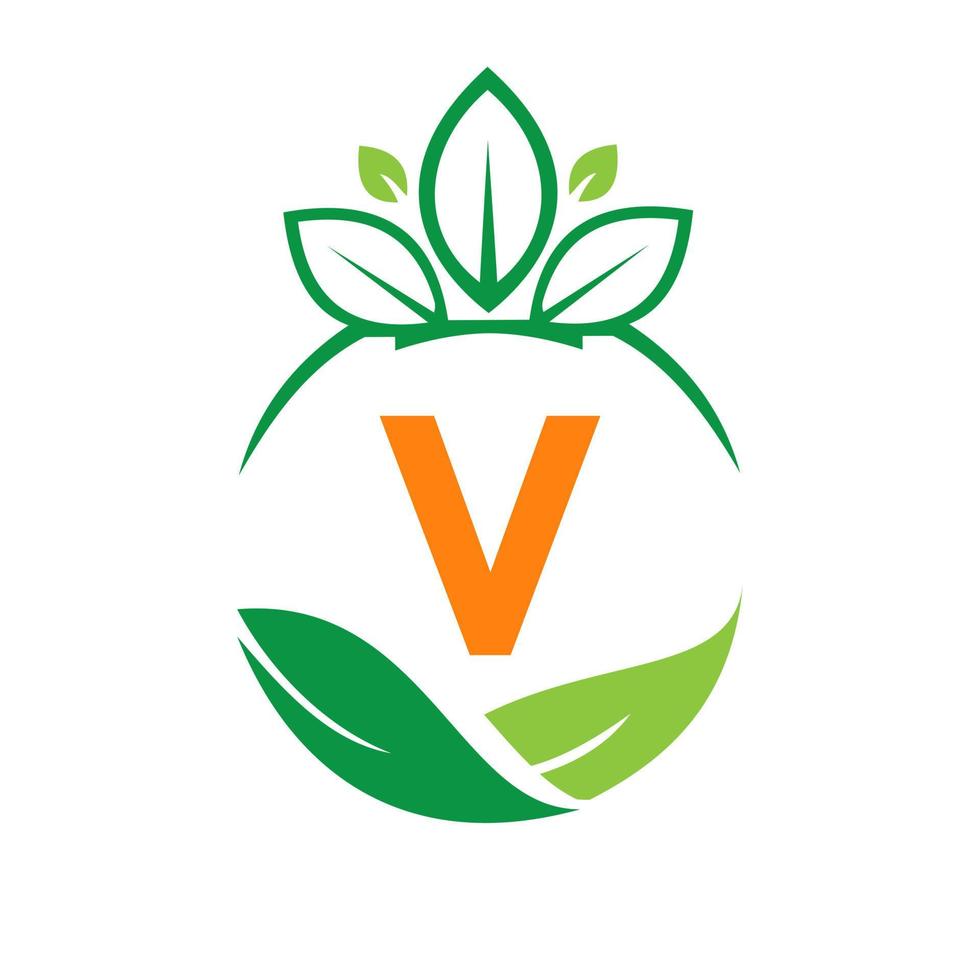 ökologie gesundheit auf buchstabe v öko-bio-logo frisch, landwirtschaft bauernhofgemüse. gesunde vegetarische bio-öko-lebensmittelvorlage vektor