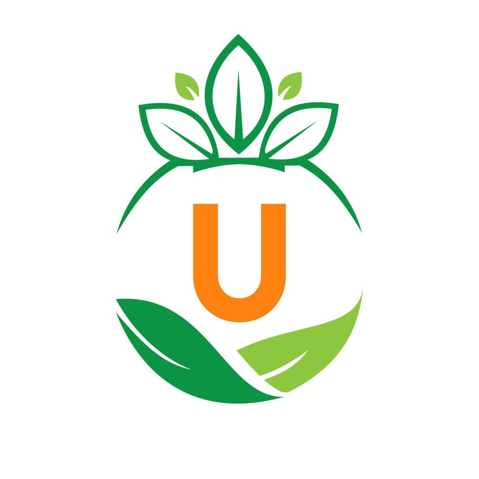 ökologie gesundheit auf buchstabe u eco bio logo frisch, landwirtschaft bauernhof gemüse. gesunde vegetarische bio-öko-lebensmittelvorlage vektor