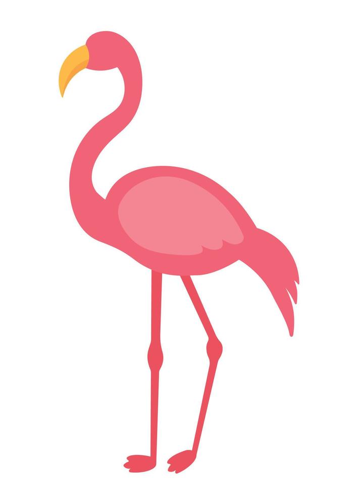 rosa flamingo flache animierte vogeltiervektorillustration vektor