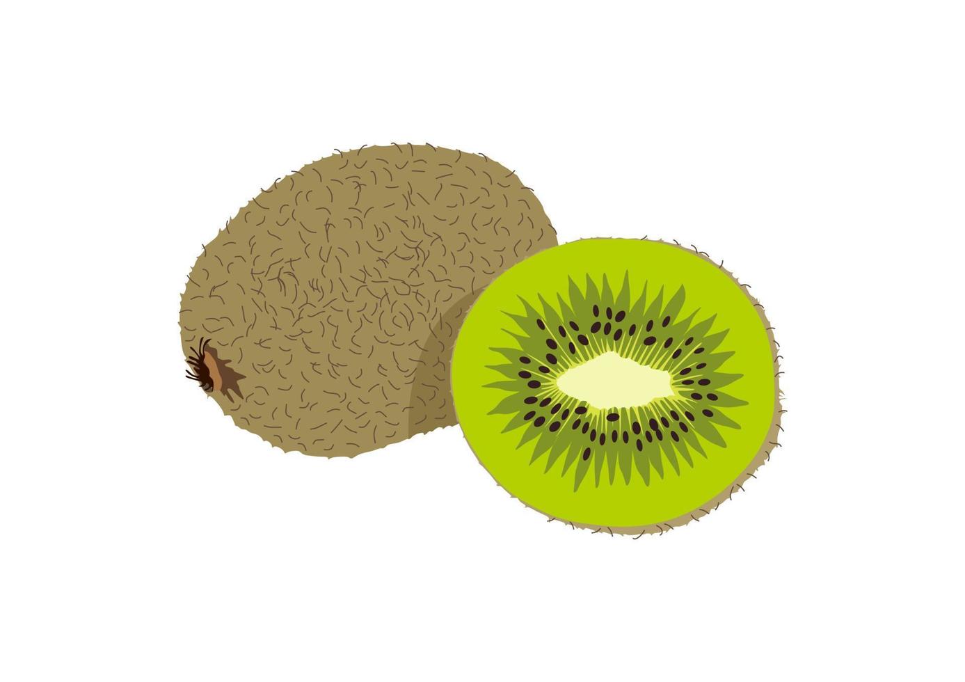 kiwi, hela frukt och halv. vektor illustration realistisk ikon isolerat på vit. sommar frukt för friska livsstil.
