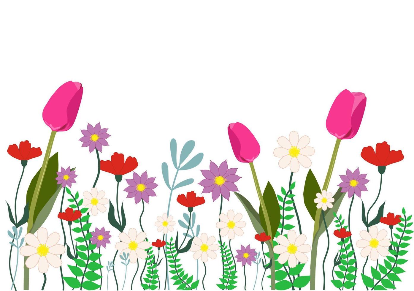 horizontaler weißer Hintergrund oder floraler Hintergrund, dekoriert mit wunderschönen mehrfarbigen blühenden Blumen und Blättern. Tulpe, Mohn, Kamille. frühling botanische flache vektorillustration auf weißer rückseite vektor