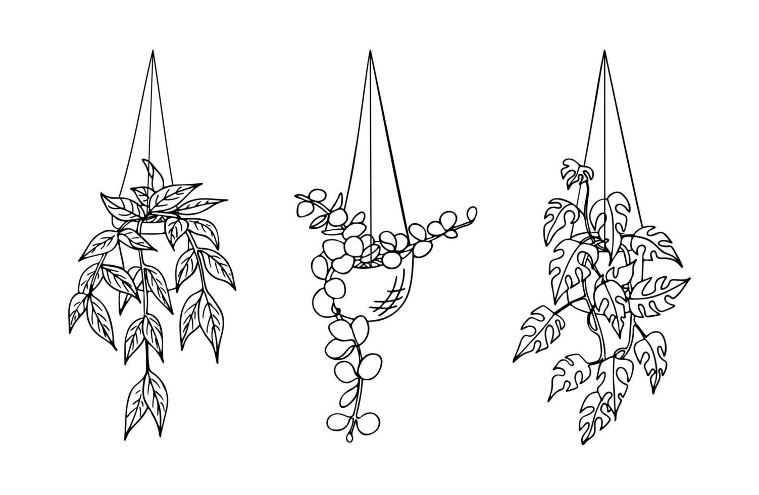 Reihe von Doodle hängenden Zimmerpflanzen in Töpfen isoliert auf weißem Hintergrund. handgezeichnete Vektorillustration von Zimmerpflanzen für Etiketten, Verpackungen und anderes botanisches Design. vektor