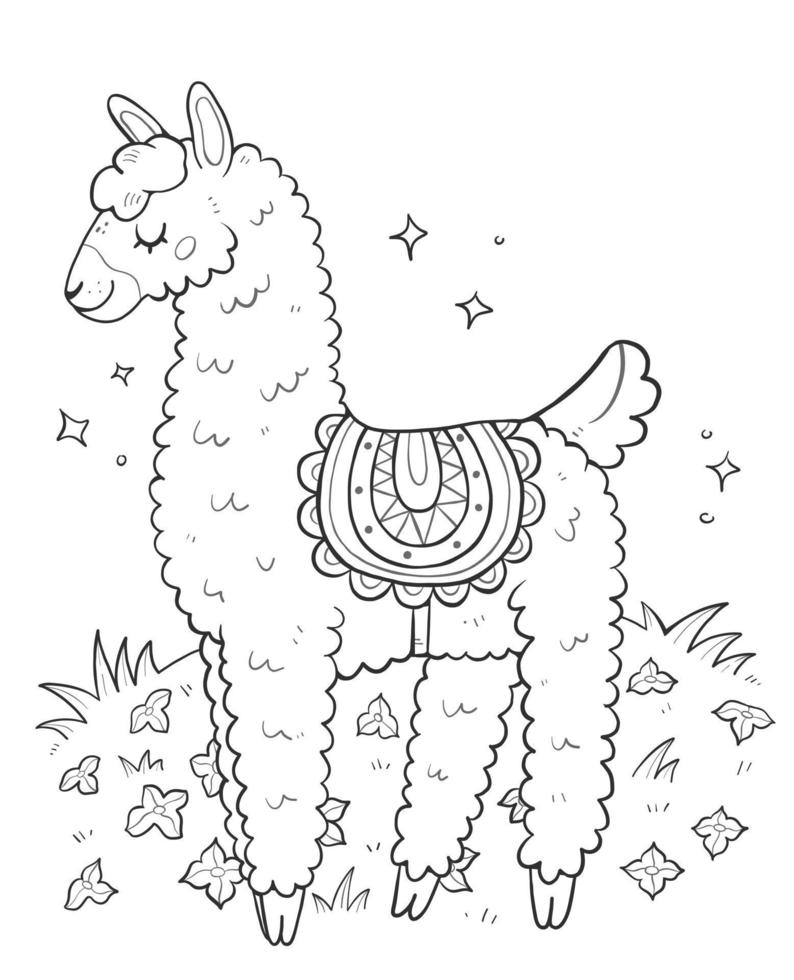 antistress färg bok med söt lama. vektor översikt illustration av en söt färg sida med lamor.