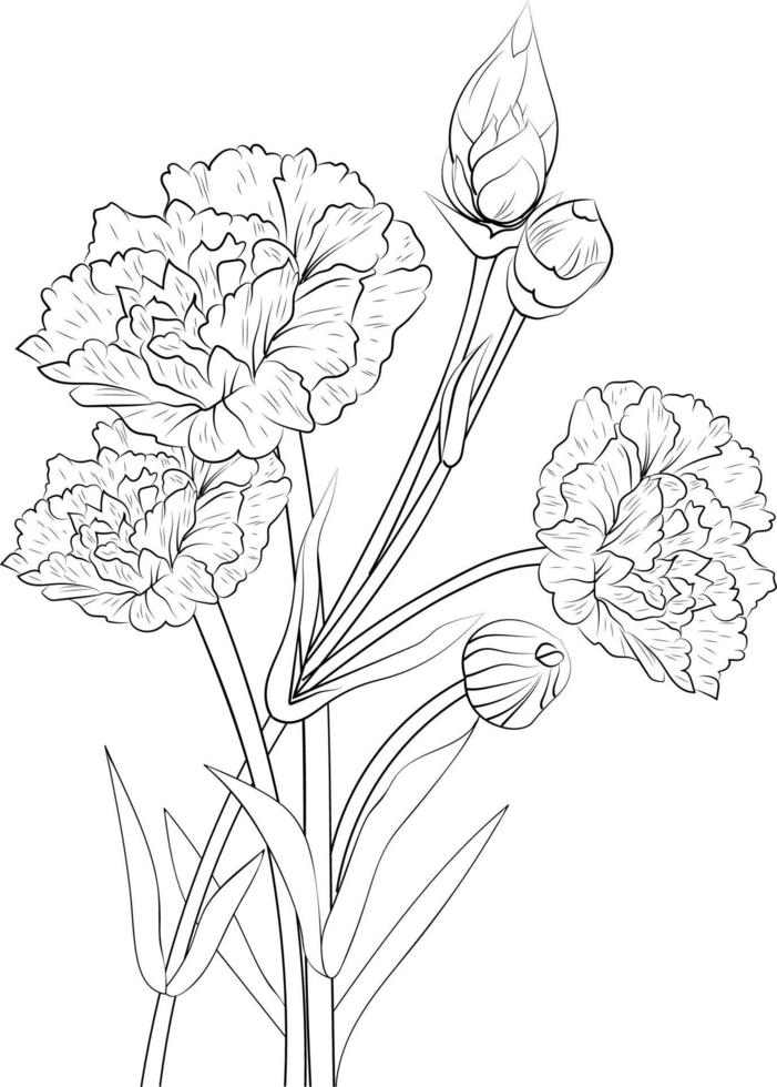 Nelken-Bleistift-Kunst, Schwarz-Weiß-Umriss-Vektor-Malseite und Buch für Erwachsene und Kinder Blumen Nelken-Rosa, mit Blättern, handgezeichnet, graviert, Tinte, Illustration, künstlerisches Design. vektor