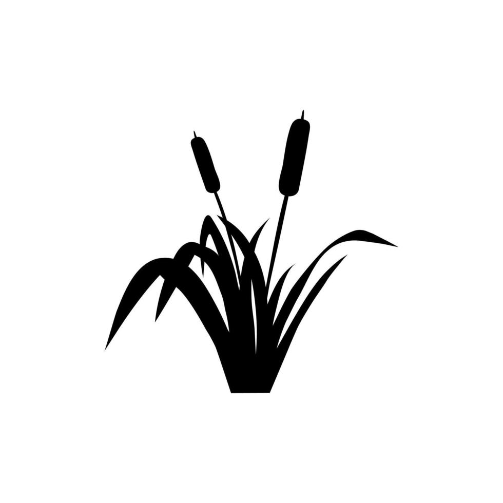 cattail ikon vektor. vass illustration tecken. träsk symbol. gräs logotyp. vektor