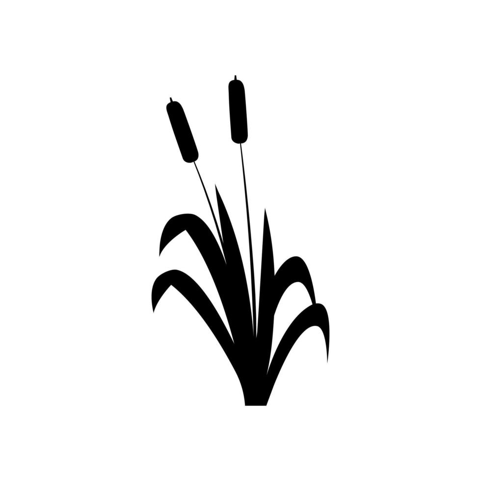 Rohrkolben-Symbolvektor. Schilf Abbildung Zeichen. Sumpf-Symbol. Gras-Logo. vektor