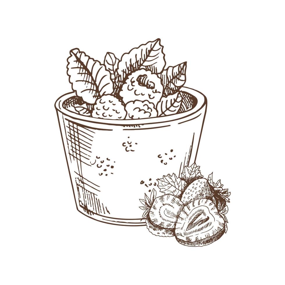 eine handgezeichnete Skizze eines Milchdesserts mit Himbeeren und Minzblättern und daneben liegenden Erdbeeren. eine auf weißem Hintergrund hervorgehobene Zeichnung. Vintage-Element. vektor