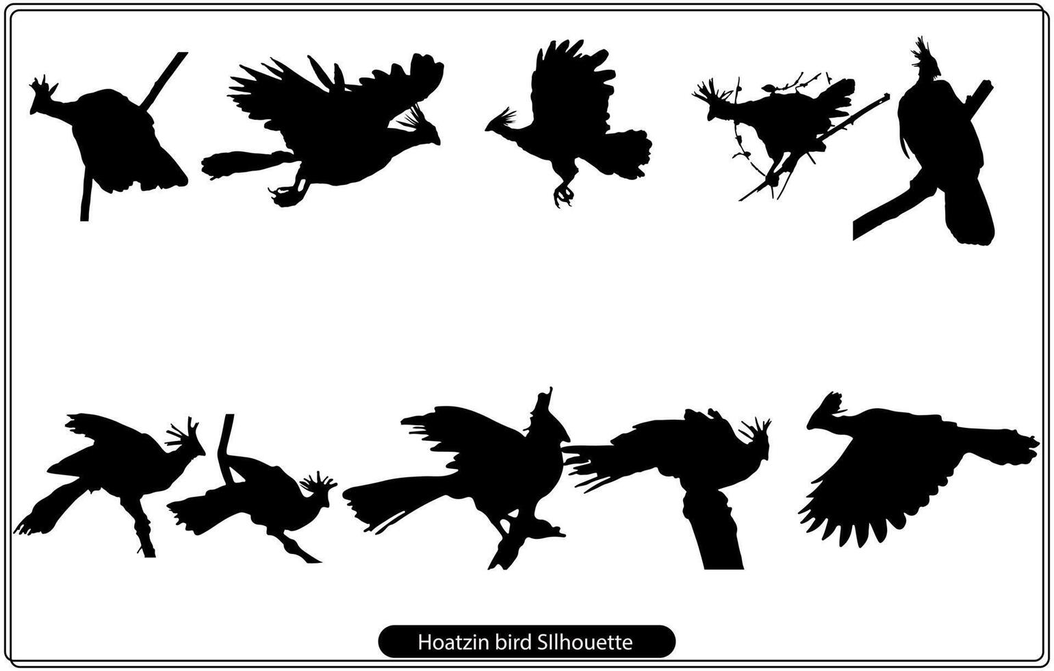 Hoatzin-Vogel-Silhouette kostenlos vektor