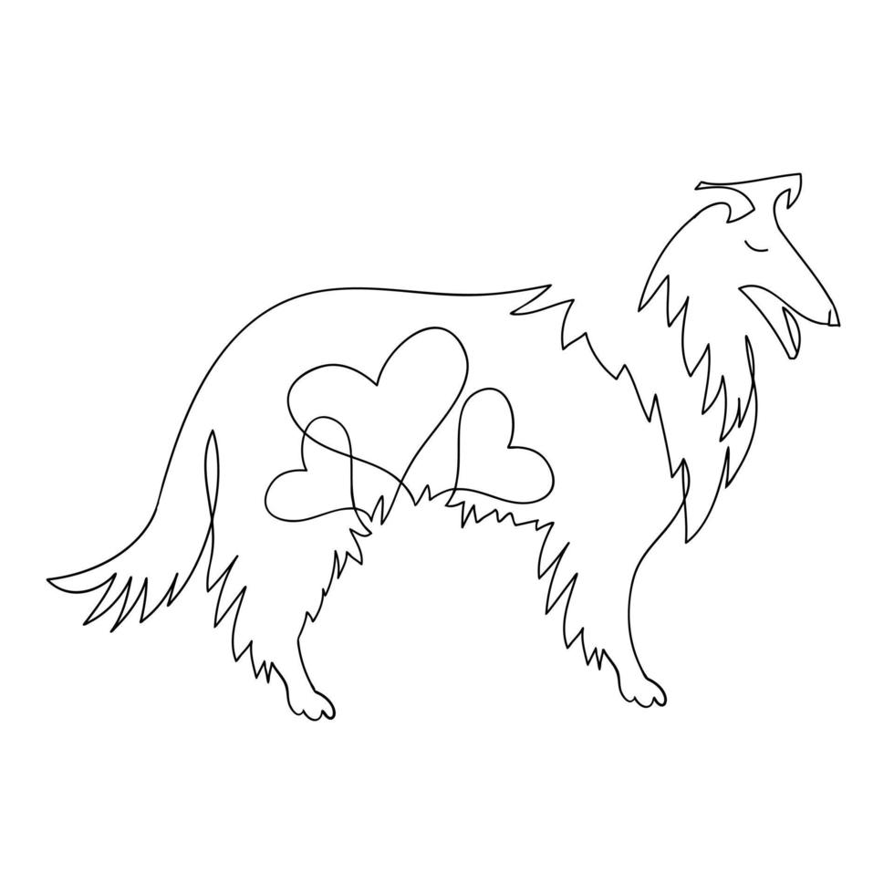 hund med en hjärta. collie vektor illustration.