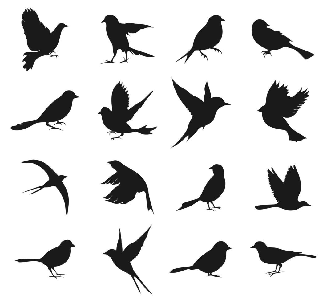 svart silhuetter av olika typer av fåglar. en vektor illustration