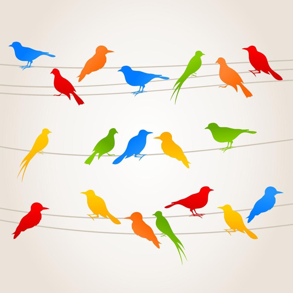 fåglar sitta på ledningar. en vektor illustration